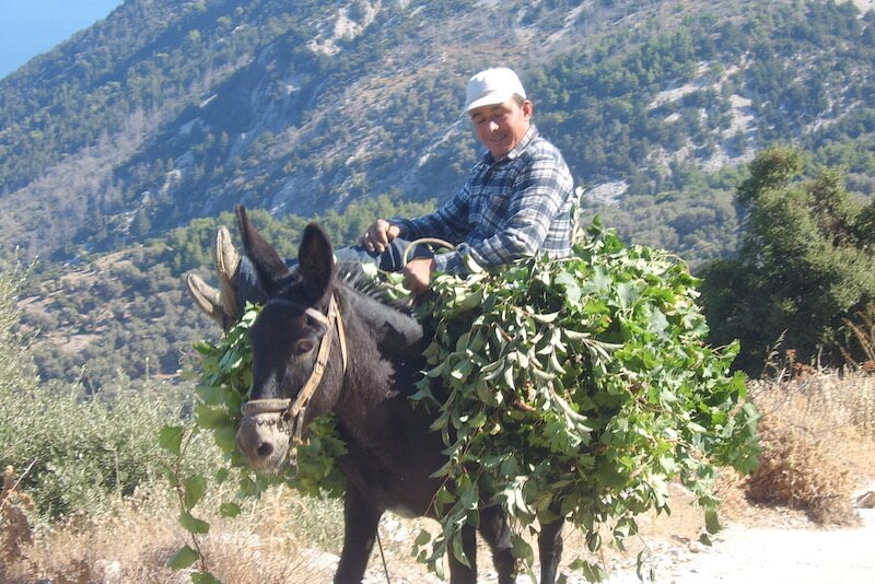 Wanderung durch das Nachtigallental alltours Samos